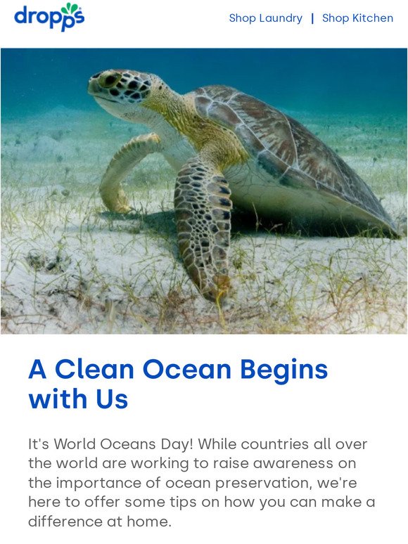 Keeping Things Clean on World Oceans Day