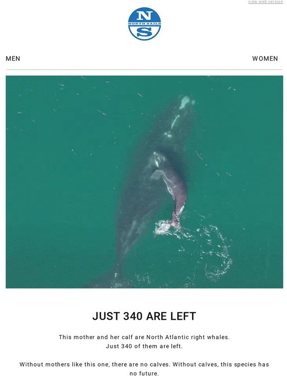 Save these whales. Sign the petition now.