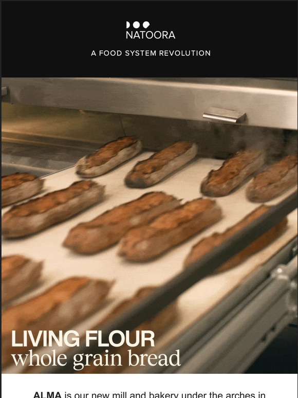 Natoora Alma Mill & Bakery is Open Milled