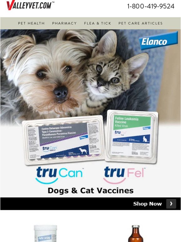 Vaccines for Healthier Pets