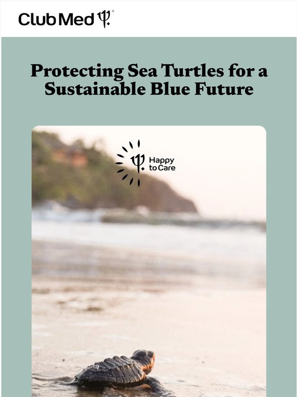 Join us for World Ocean Day: Protect Sea Turtles