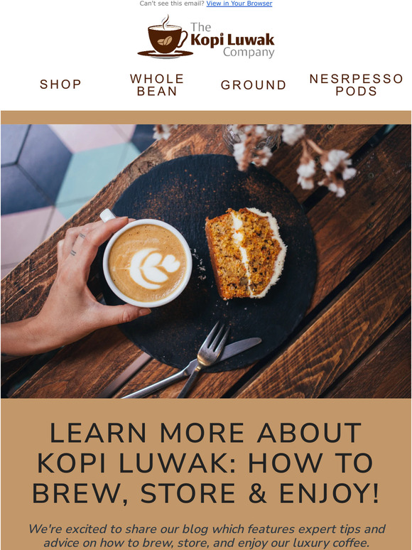 The Kopi Luwak Company Learn About How Kopi Luwak☕ Is Made & Can Be Enjoyed Milled