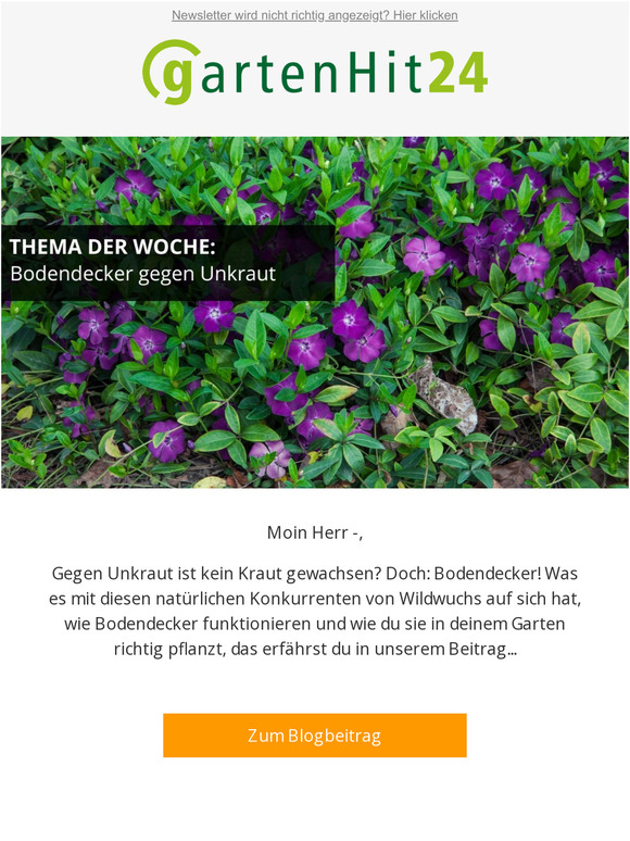Bodendecker gegen Unkraut!
