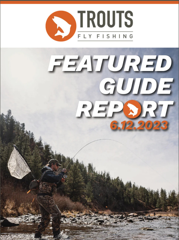 Trouts Fly Fishing: Five Flies for Rocktober featuring Charlie Blackmon 