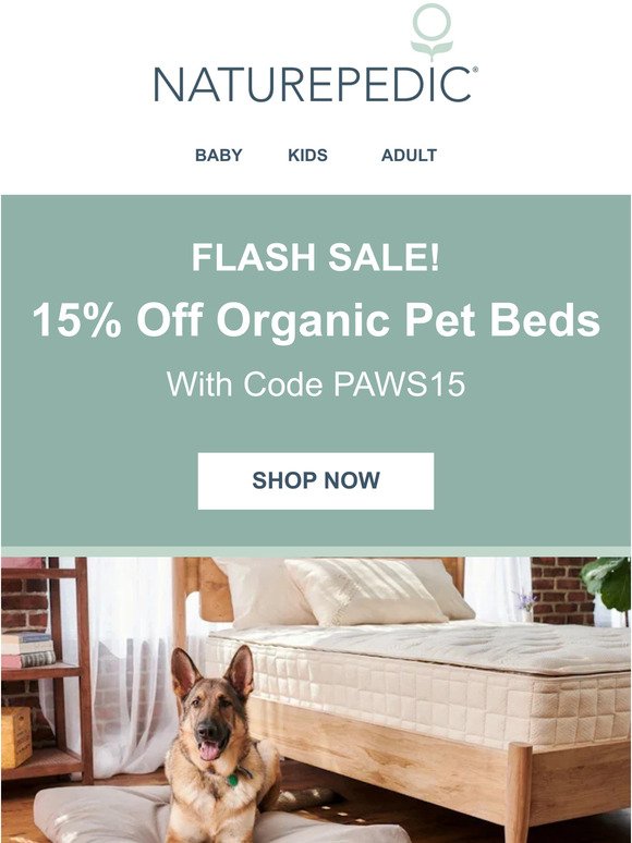 JUST LAUNCHED: ✨Organic Pet Beds ✨