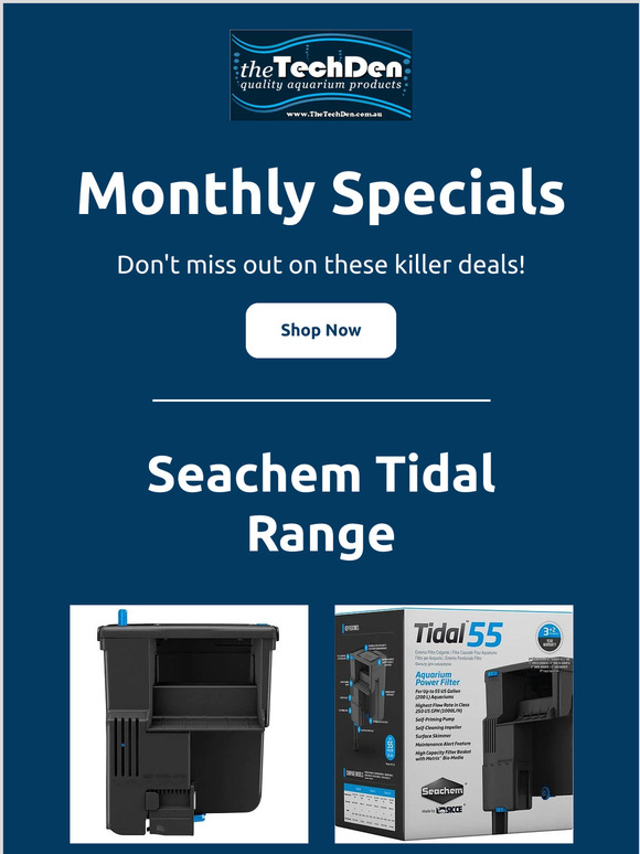 June Super Specials!