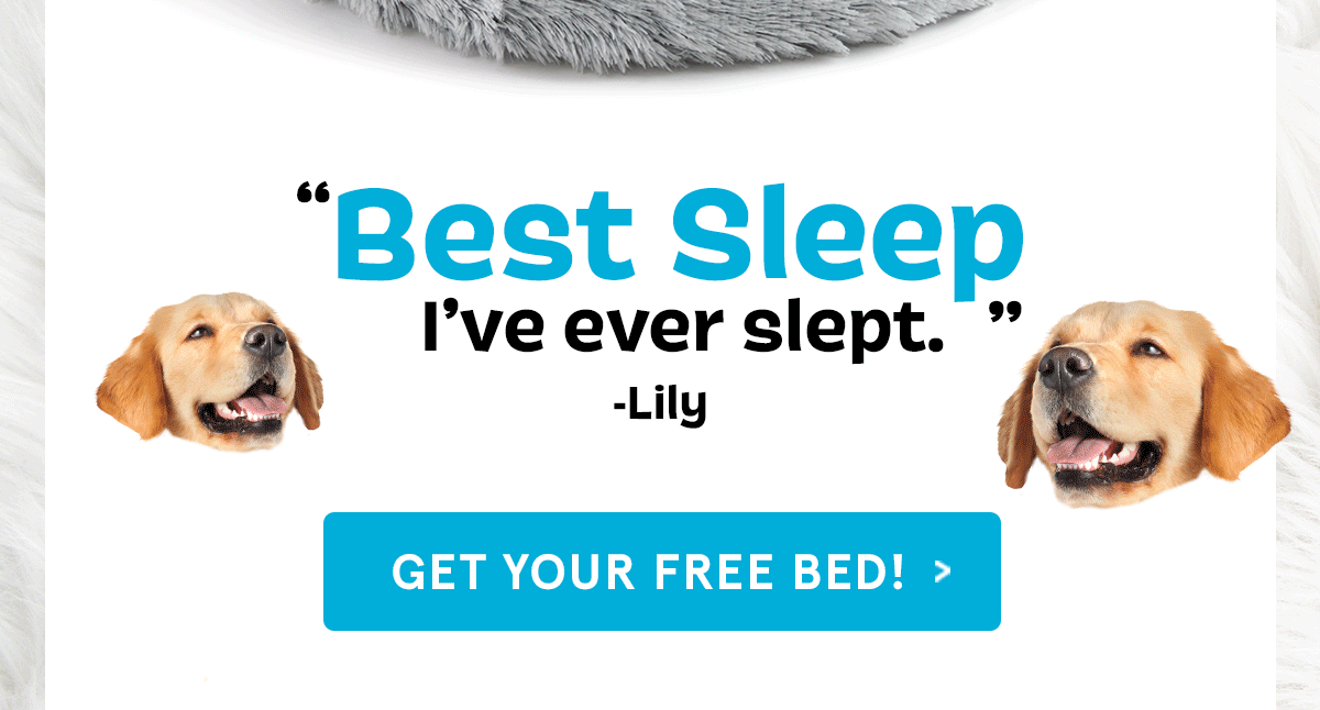 BarkBox This Free Dog Bed Is Going, Going Milled