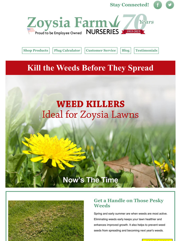 Zoysia Farm Nurseries Weed killers safe for Zoysia available Milled