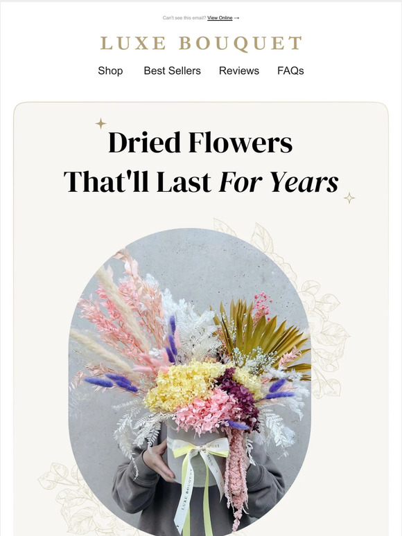 🌹 The Beauty of Dried Flowers