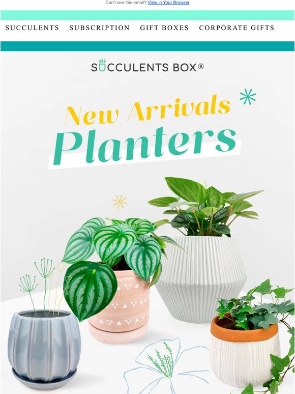 New Arrivals: Stylish Planters for Your Home