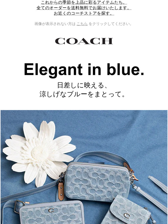 Coach JP: ご愛用のコーチ バッグを癒すレザースパ体験！期間限定特典