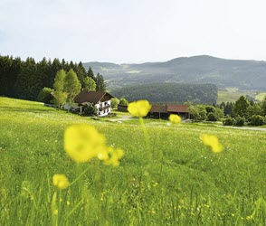 All Inclusive im Bayerischen Wald All Inclusive im Bayerischen Wald