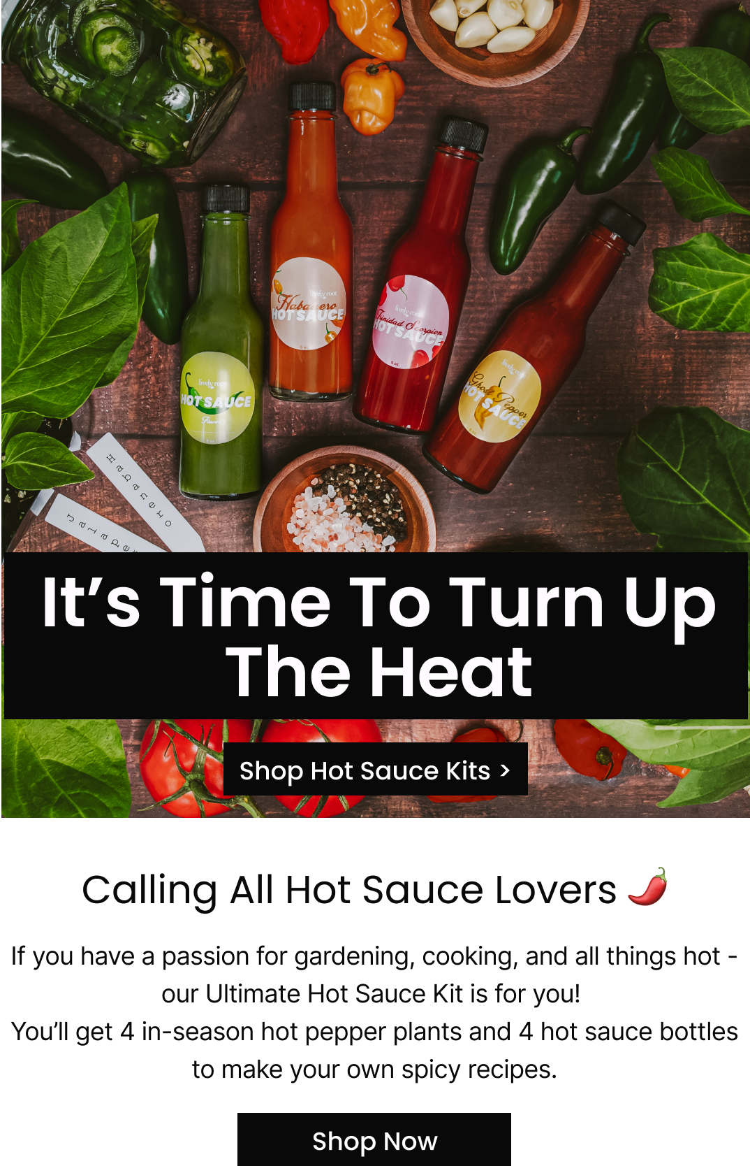 Ultimate Hot Sauce Kit