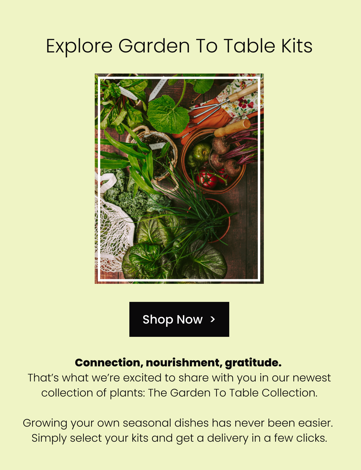 Gaden To Table Kits