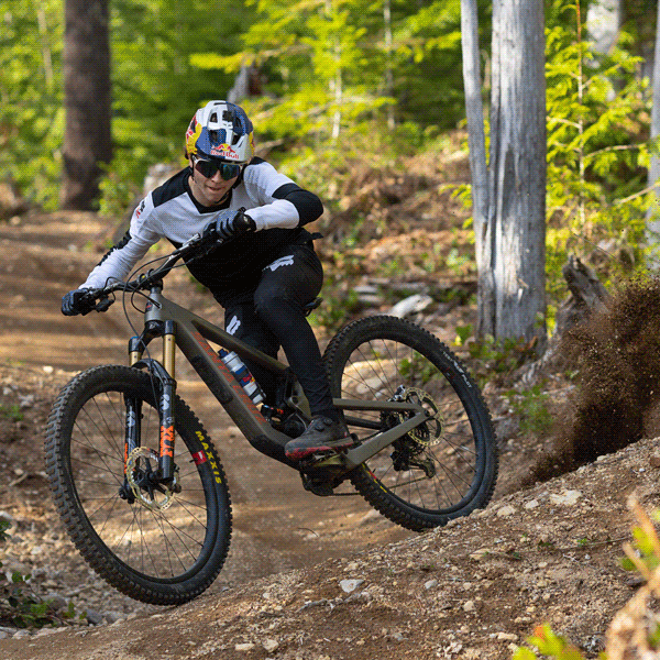 syndicate mountain bike