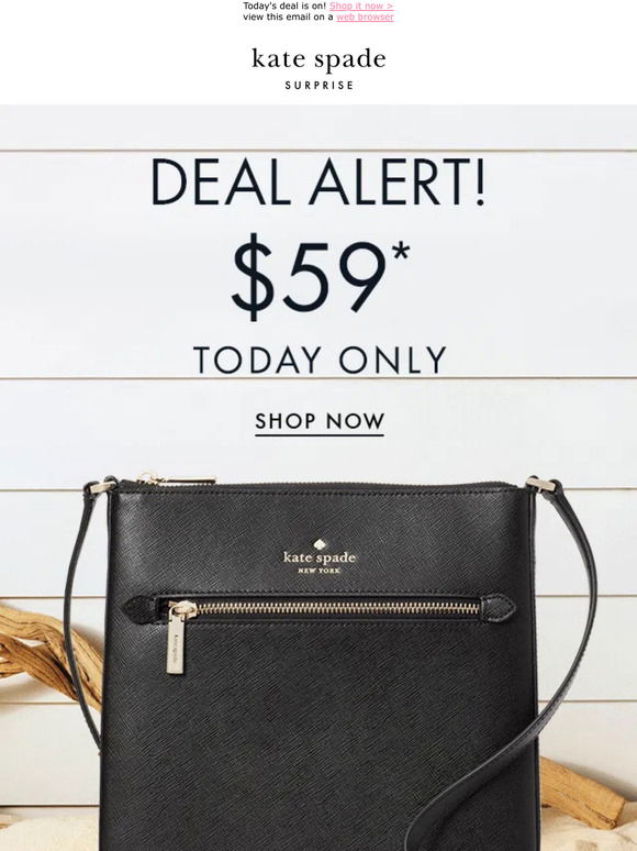 Kate Spade Leila North South Crossbody $79 Today Only (was $329) + Free  Shipping!