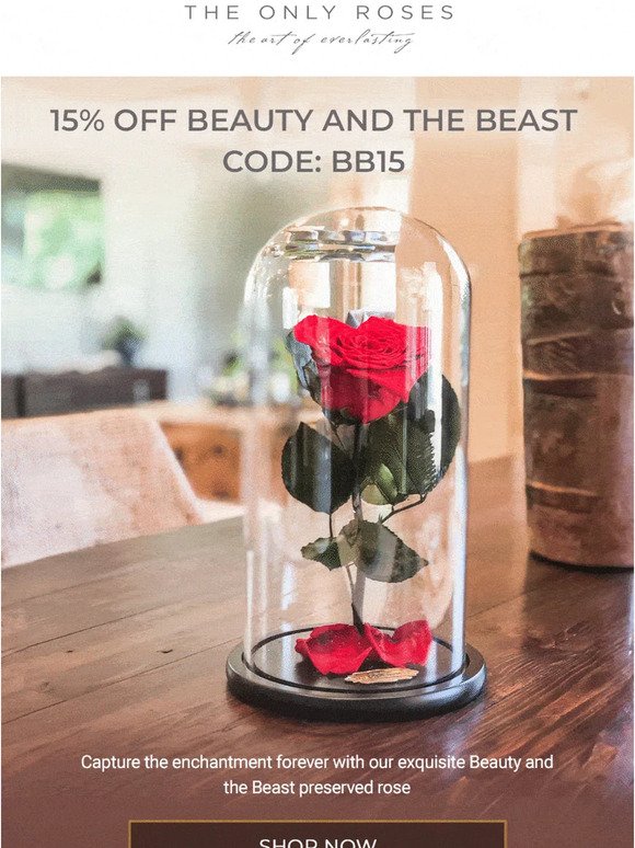 24 Hours Only! 15% OFF on all Beauty and The Beast roses