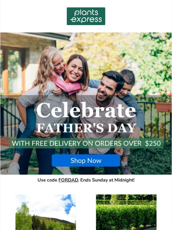 Free Delivery for Father's Day