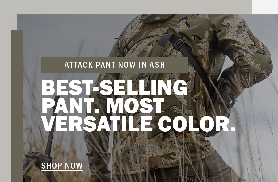 Ash Attack Pant