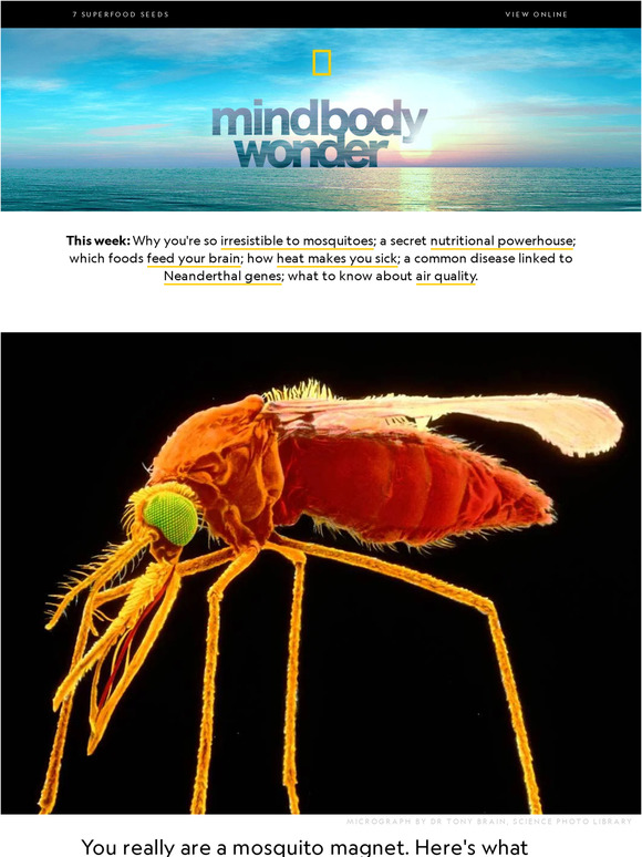 National Geographic What really attracts mosquitoes—and how to repel