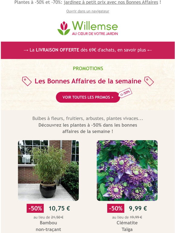 Nouveautés bulbes à fleurs  Achat, Vente en ligne - Willemse