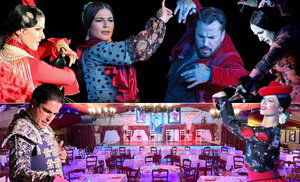 ★★ Espectáculo flamenco en el Tablao Flamenco Los Porches ★★ ★★ Espectáculo flamenco en el Tablao Flamenco Los Porches ★★