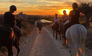 Paseo a caballo para 2 o 4 personas en Hípica Los Jarales Paseo a caballo para 2 o 4 personas en Hípica Los Jarales