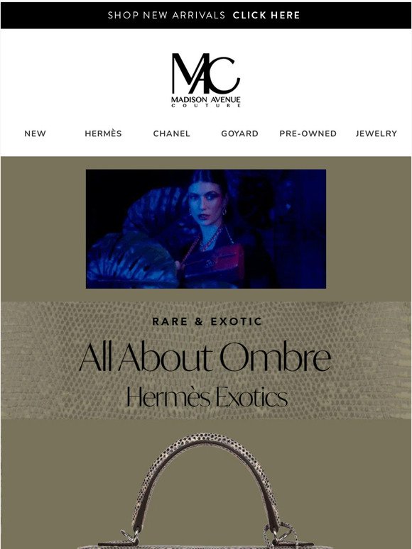 Hermes Kelly Pochette Braise Shiny Alligator Palladium Hardware – Madison  Avenue Couture