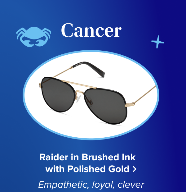 Raider Sunglasses in Polished Gold