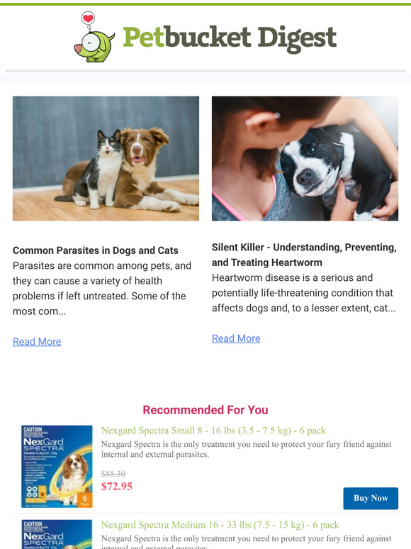 Silent Killer - Understanding, Preventing, and Treating Heartworm