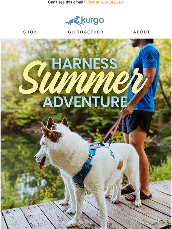 Get Ready To Harness The Summer