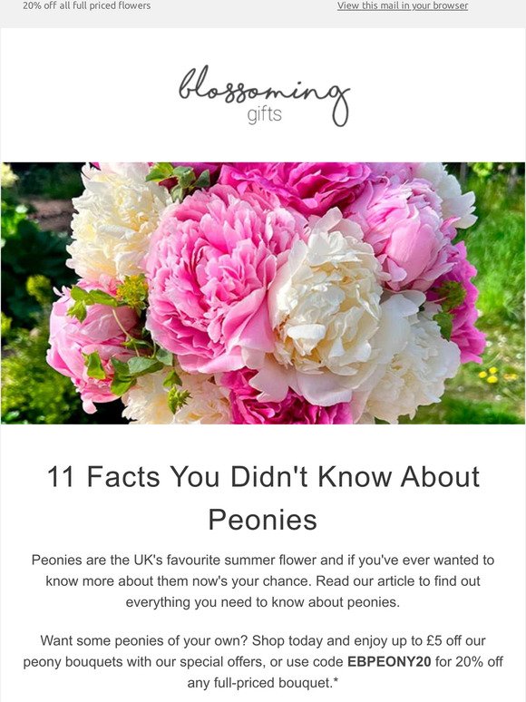 11 Facts You Didn't Know About Peonies 🌸
