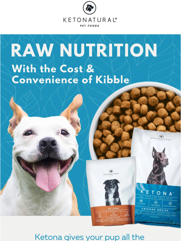 Ketona clearance dog food