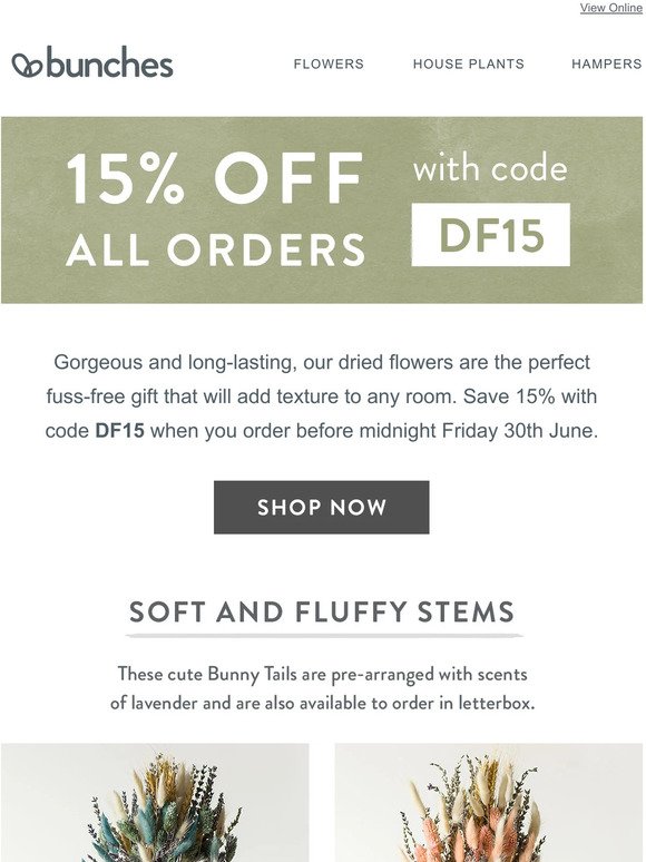 Gorgeous long-lasting dried flowers with 15% off