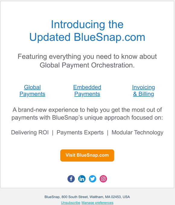 Unveiling BlueSnap's Updated Website
