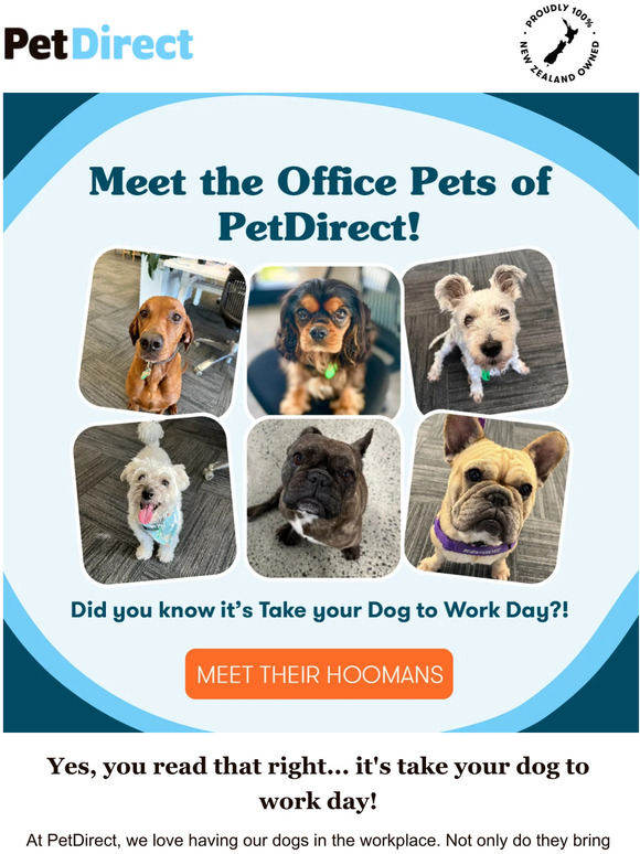 Pet Direct NZ Are you taking your Best Furry Friend (BFF) to the