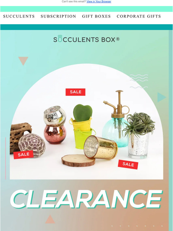 Don't Miss Out on Our Clearance Deals!