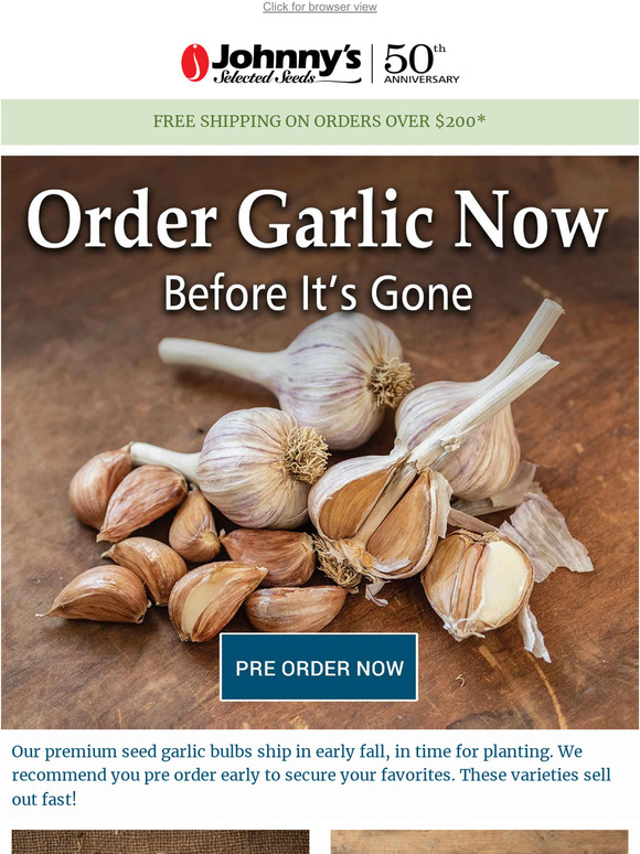 Pre Order High-Quality Seed Garlic