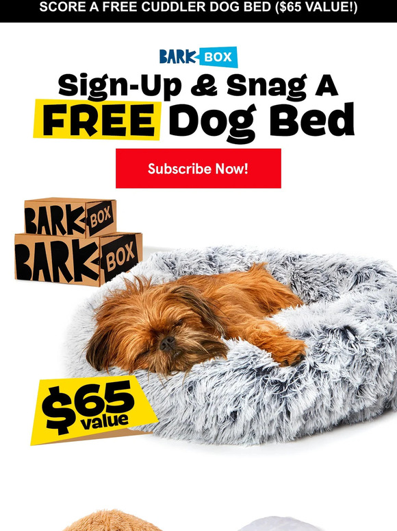 BarkBox FREE Cuddler Dog Bed = FREE 💤💤💤 Milled