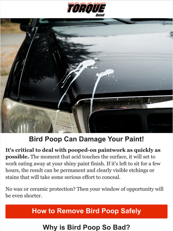 Torque Detail Bird poop can DAMAGE your paint! Here's how to safely