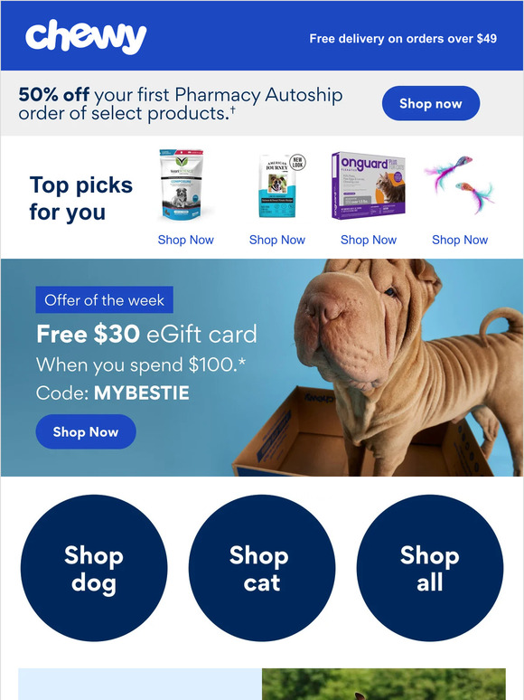 You've got a pet, we've got offers
