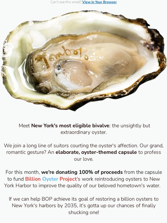 Slurp down our 100%-for-charity capsule with Billion Oyster Project