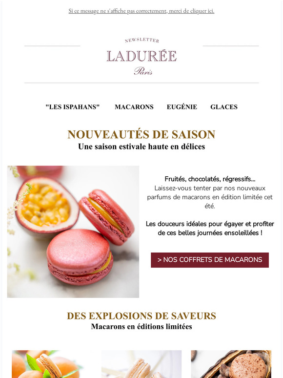 NOUVEAUTÉS | L'été est enfin arrivé 🥥