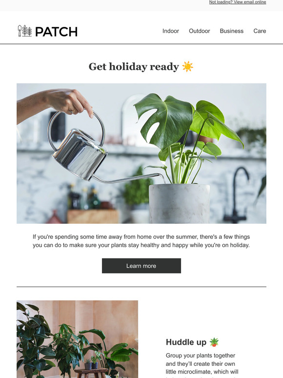 Patch Plants Our top travel tips 🏝 Milled