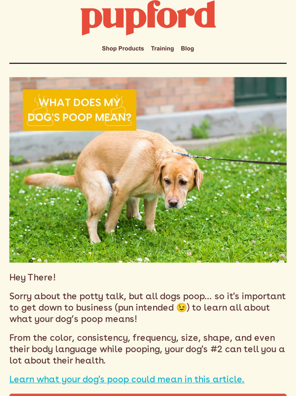 pupford [article] What Does Your Dog's Poop Mean? 💩 Milled