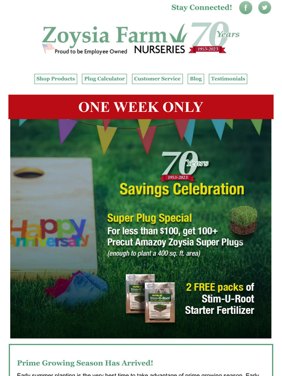 Zoysia Farm Nurseries Super Plug Special...For Less Than 100, Get 100