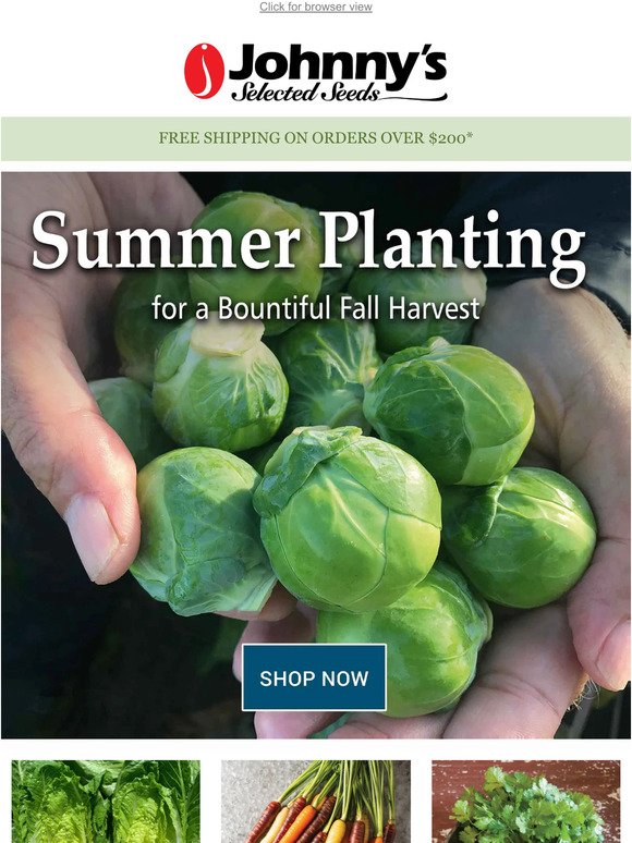 It’s Time to Plant Fall-Harvest Crops
