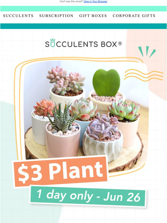 Today Only! $3 Plant for Your Garden