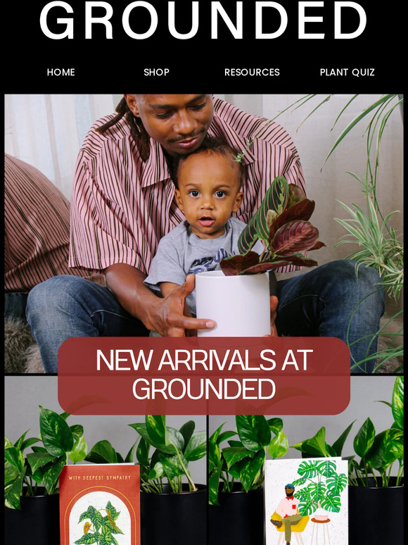 New Arrivals + More Back In Stock At Grounded!