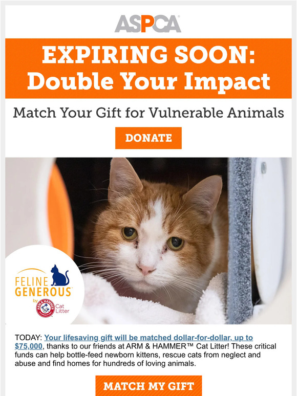Matching Gift (Expiring Soon)